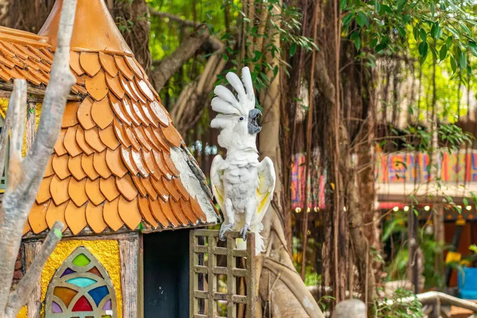 Amazonia - The Jungle Experience Resort