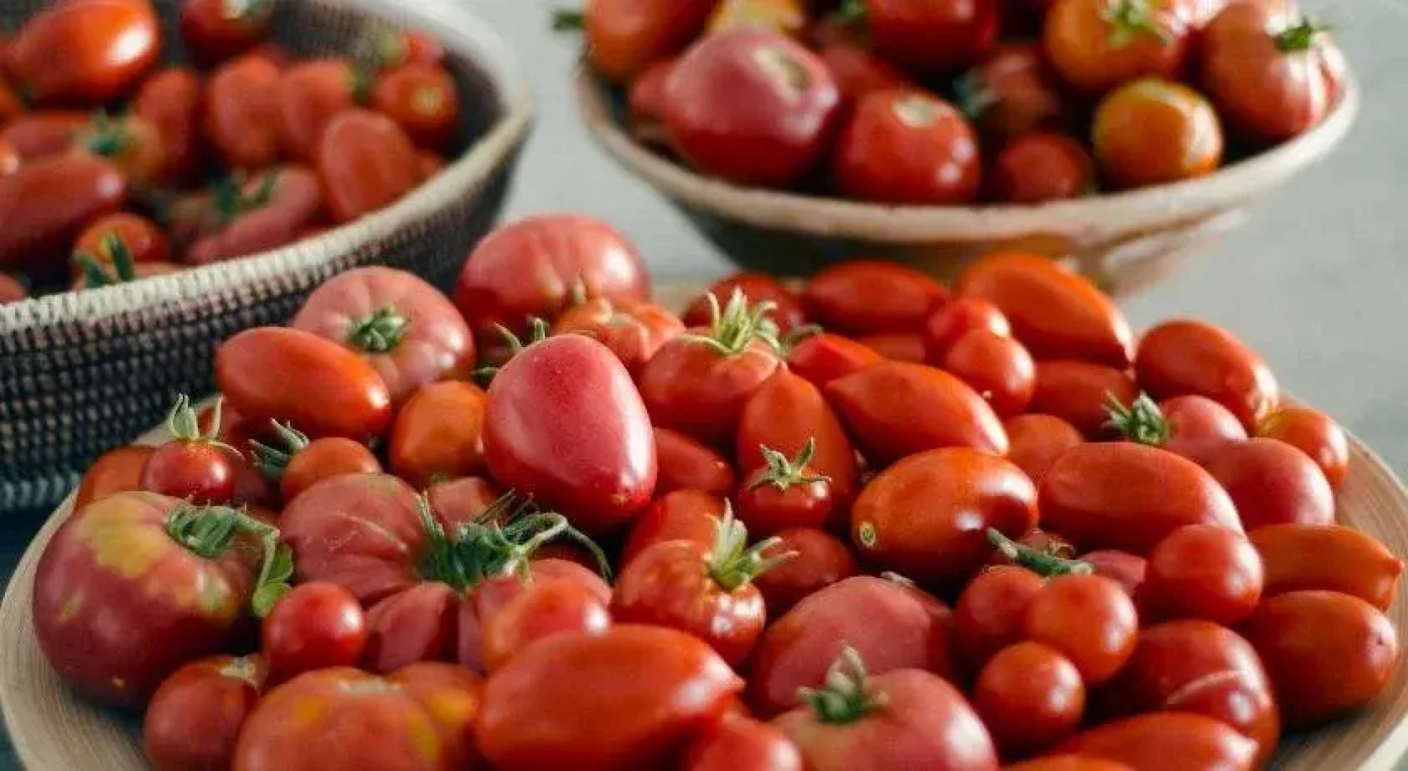 Hotel The Pink Pepper Tree