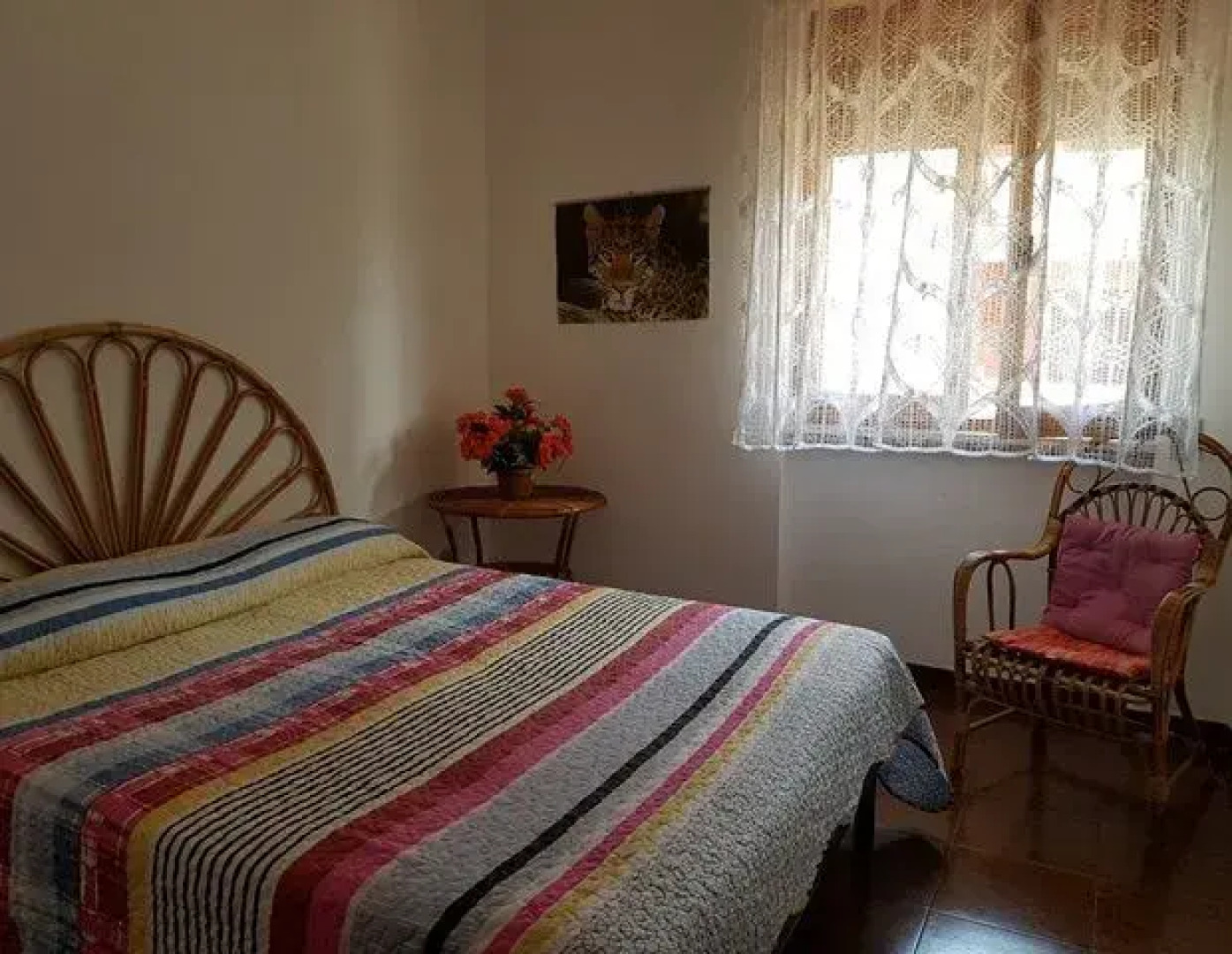 Case Vacanze Baia Verde