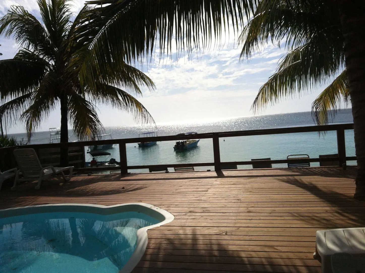 Coconut Tree West Bay