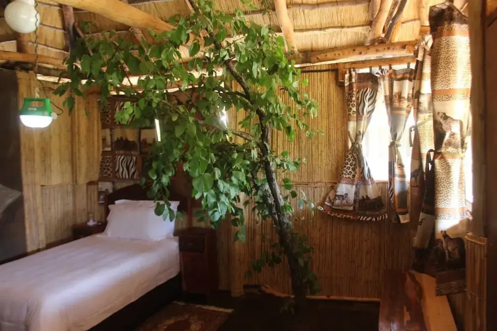 Dzibanana Lodge & Camping