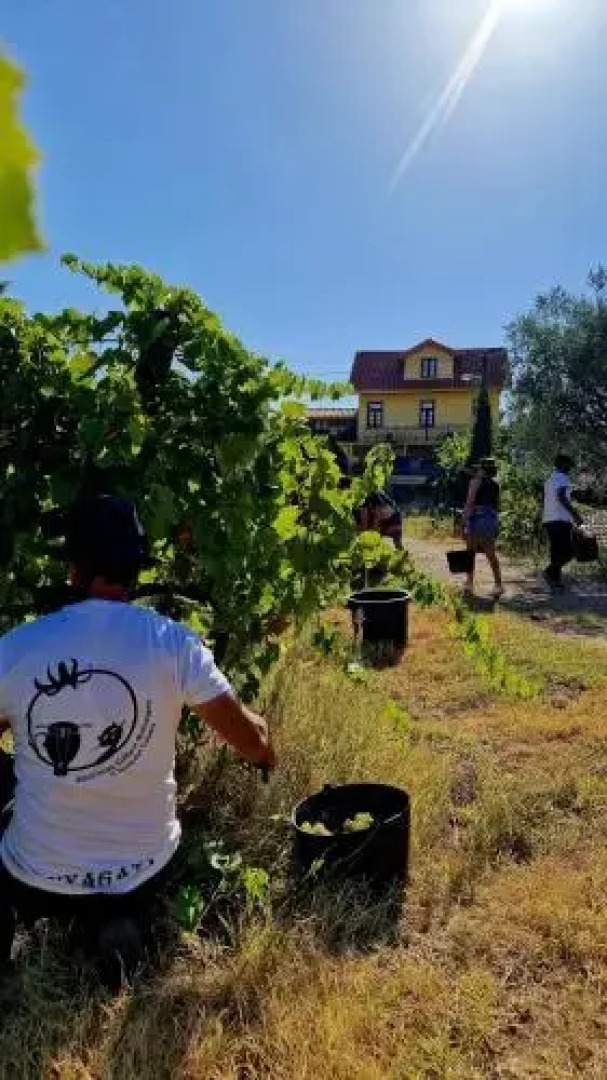 Quinta do Chao DOrdem