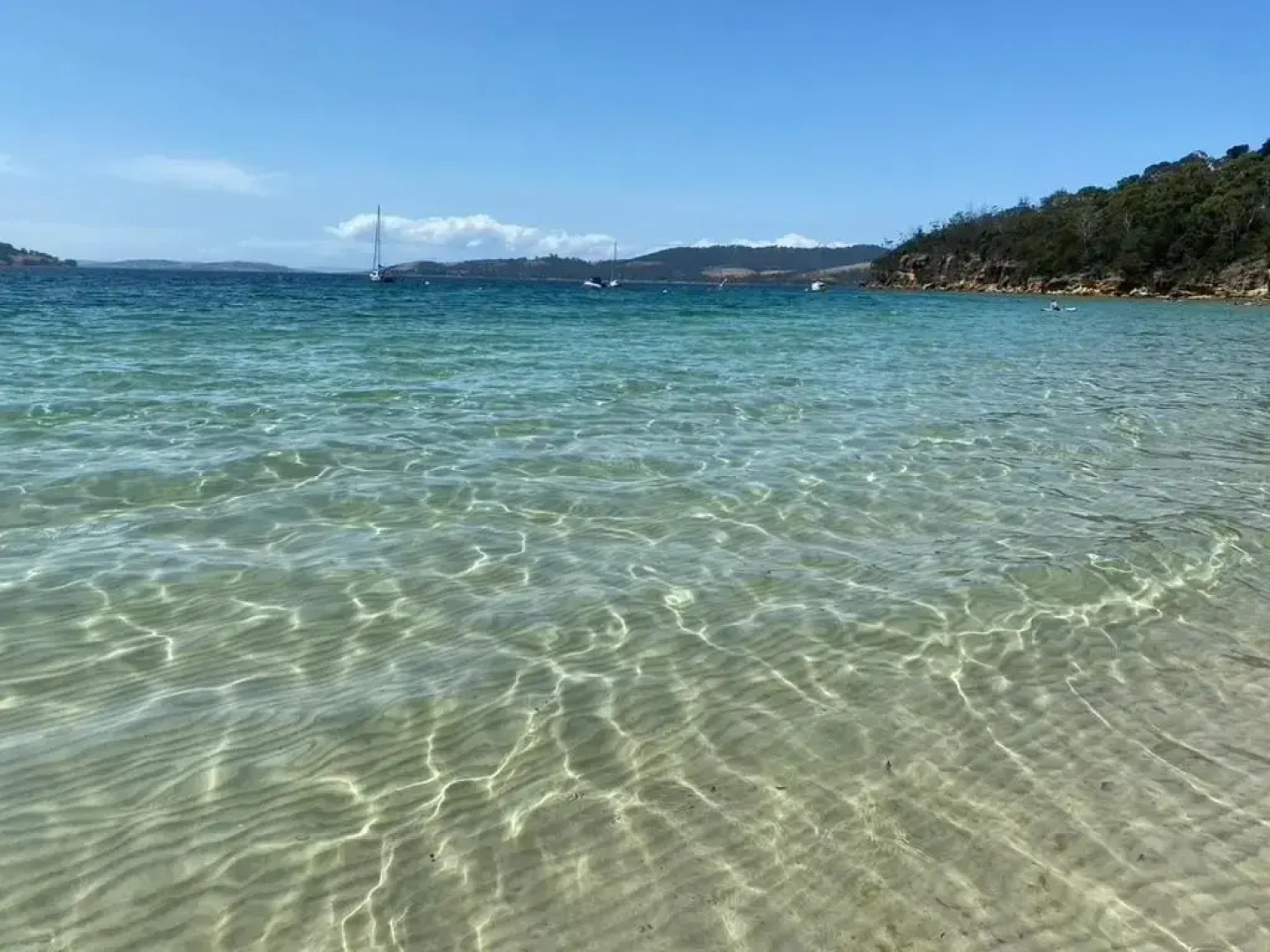 Coningham Beach House