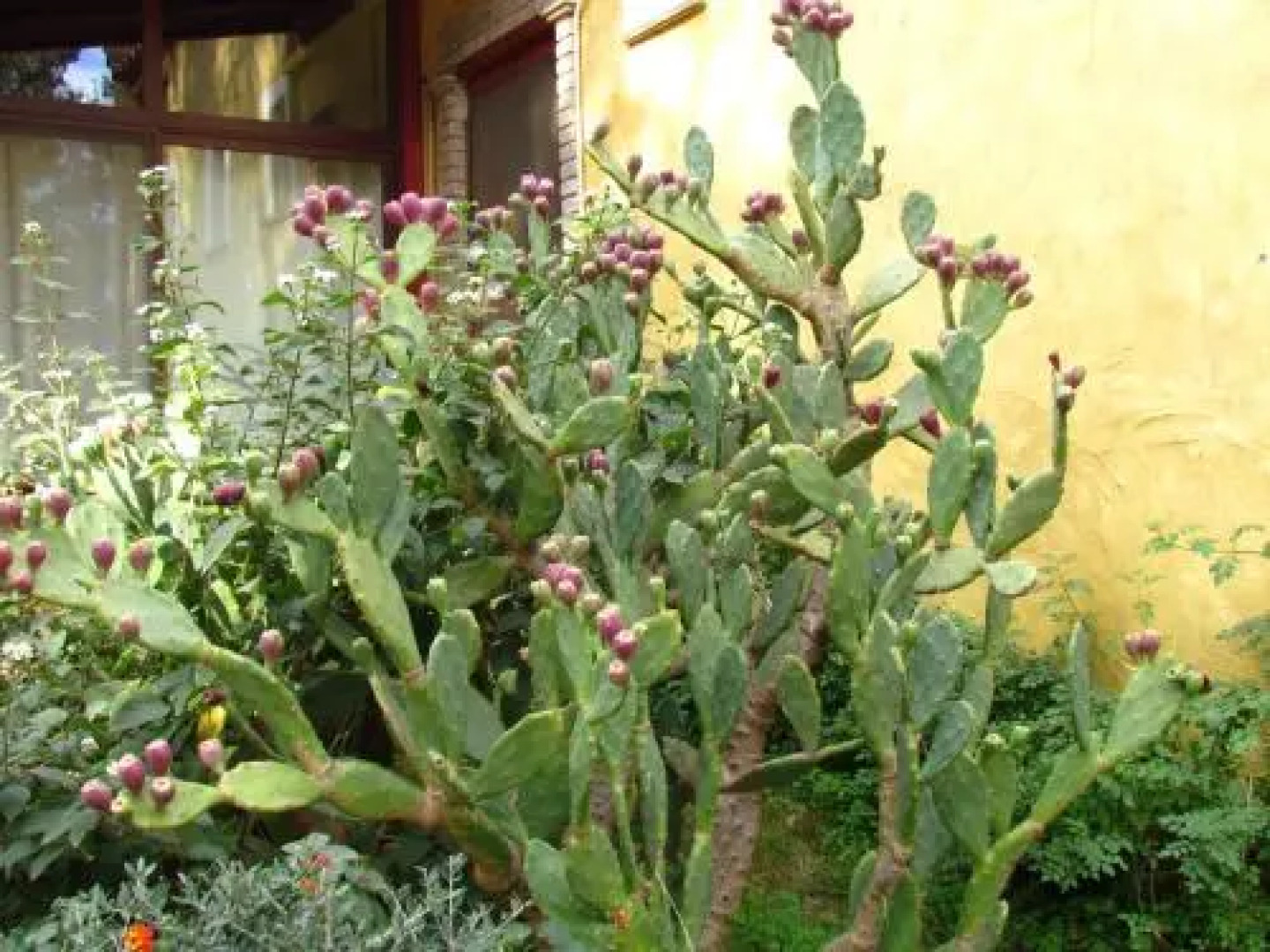 Agriturismo Simbirizzi