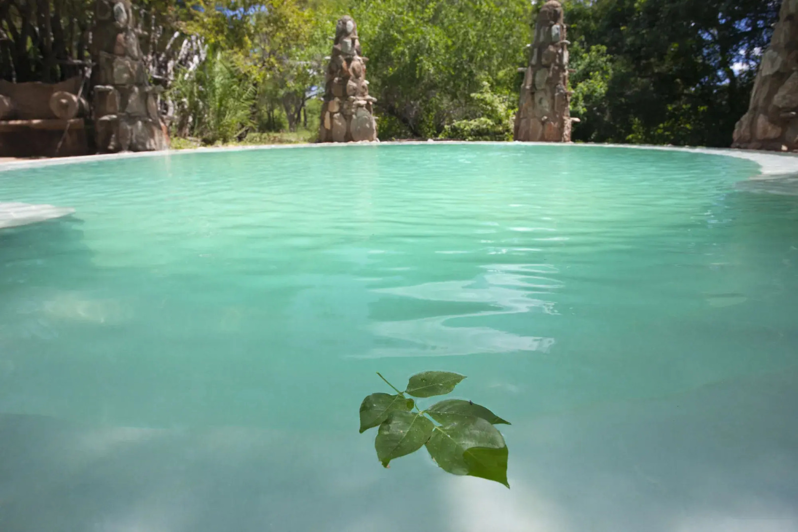 Aha Makalali Private Game Reserve