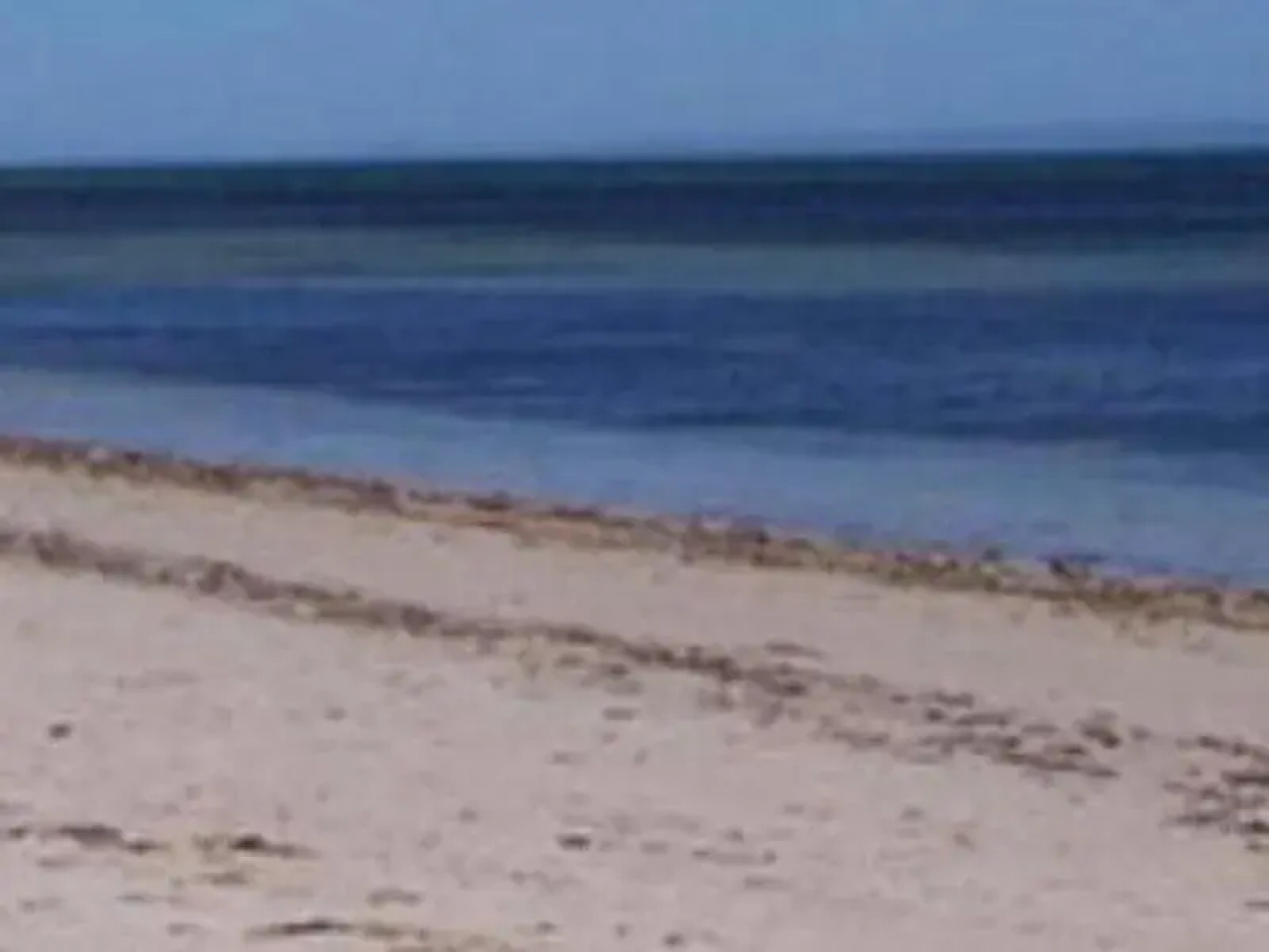 JC Experiences House