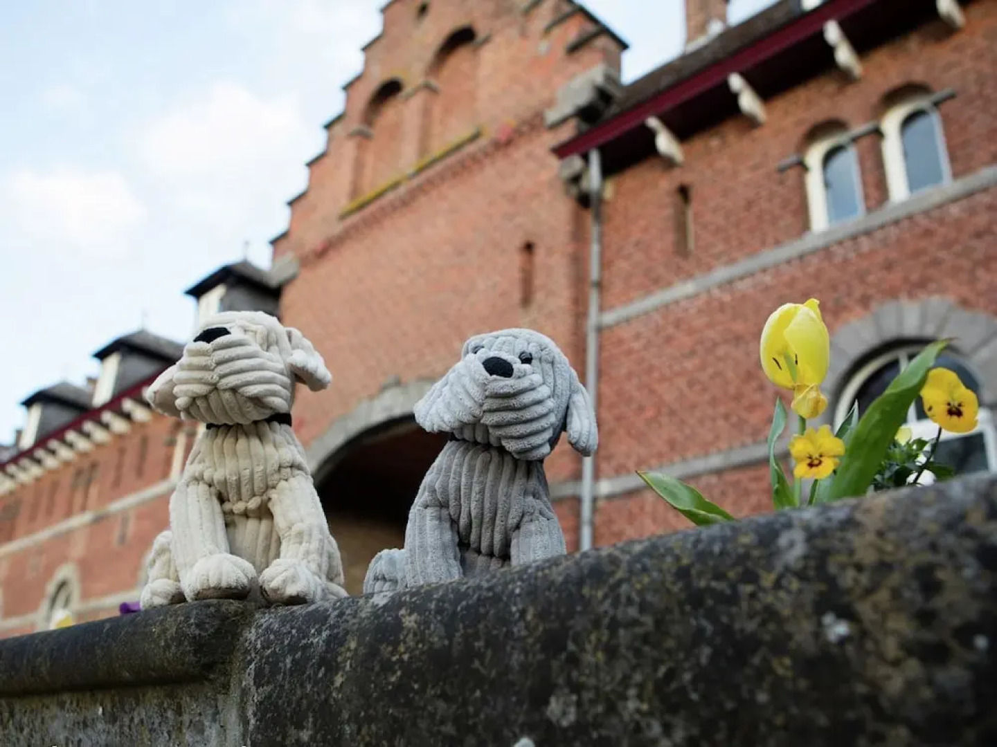 Vintage Holiday Home in Gembloux with Sauna