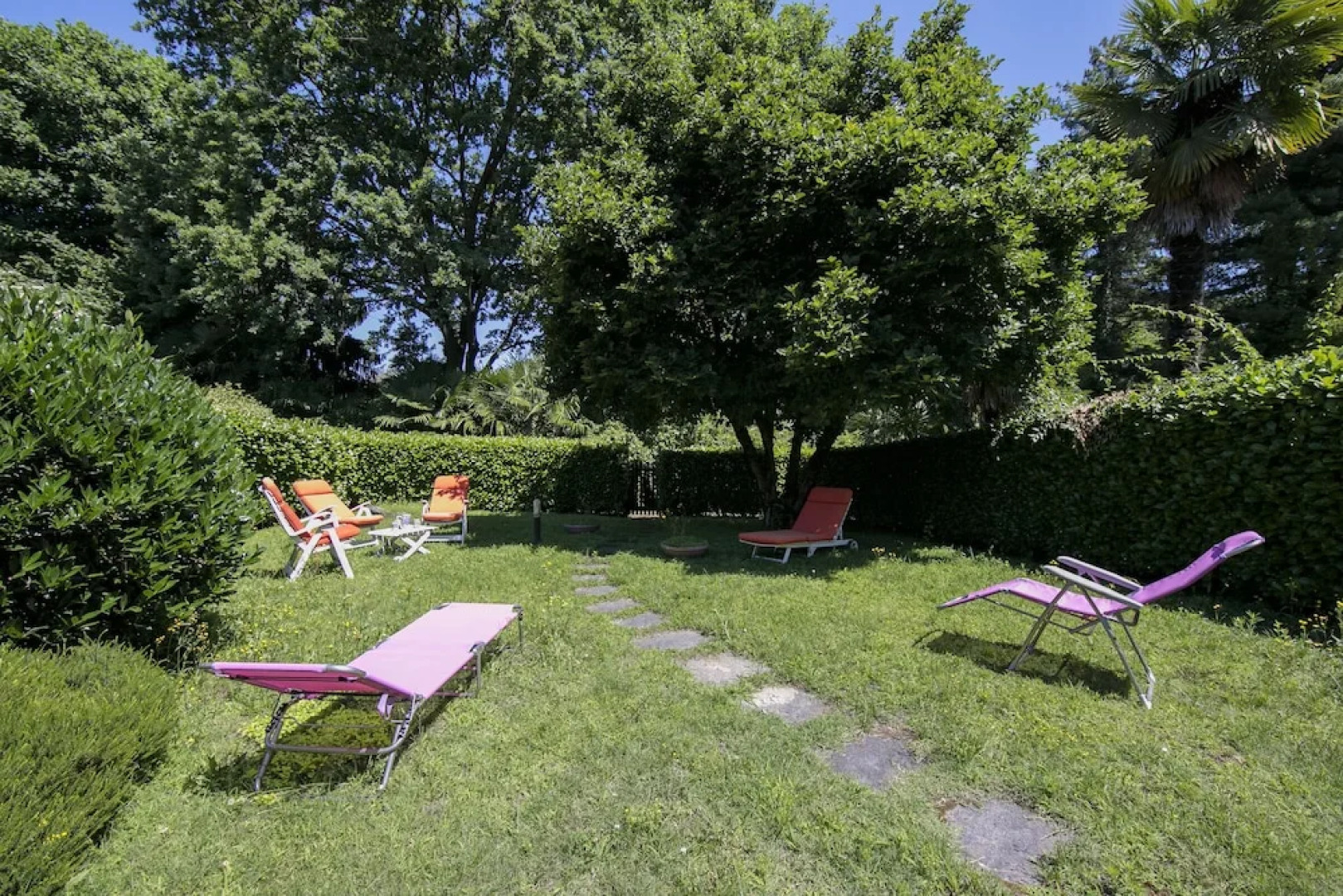 Villa Magnolia Stellata