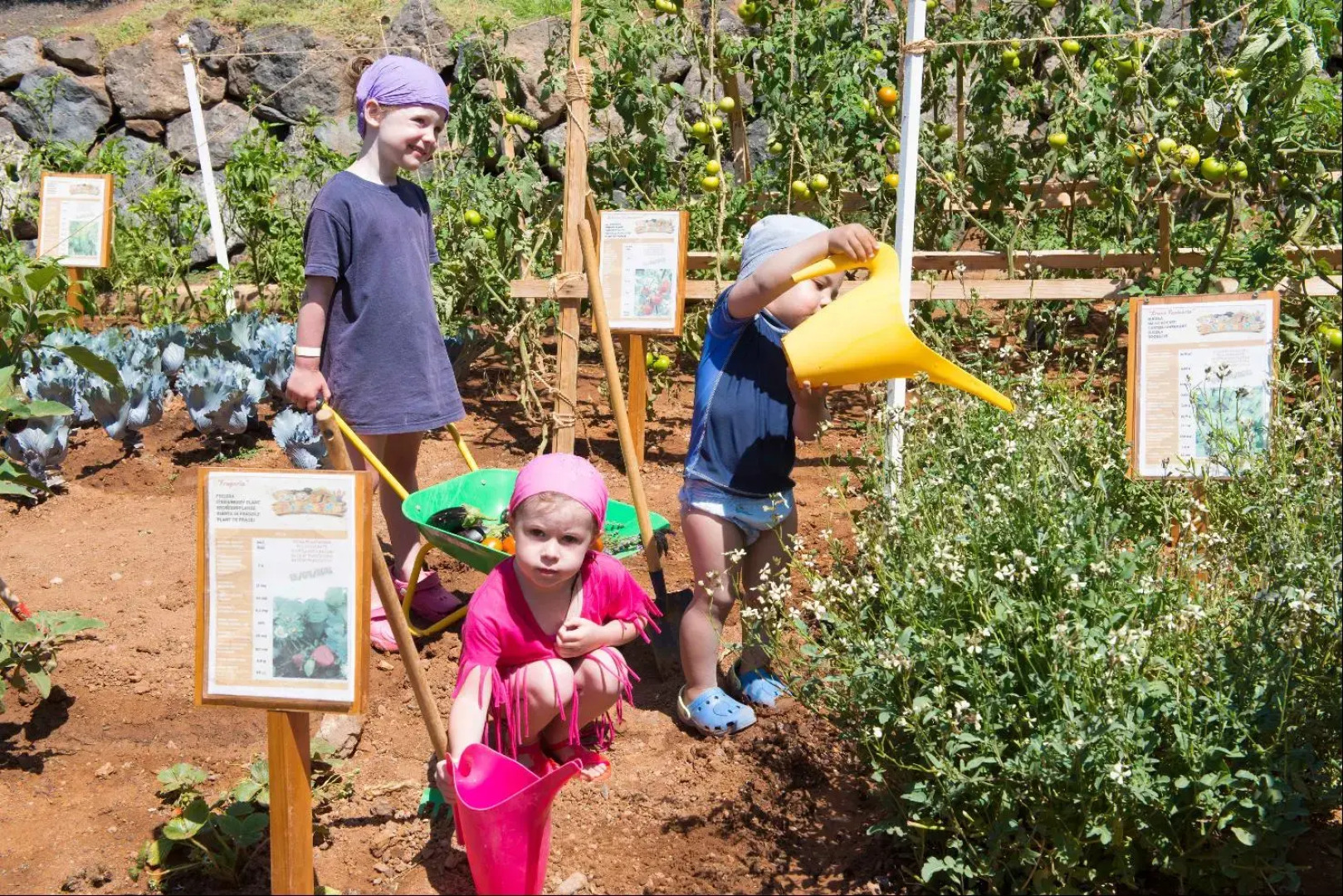 Club Jandía Princess - All Inclusive