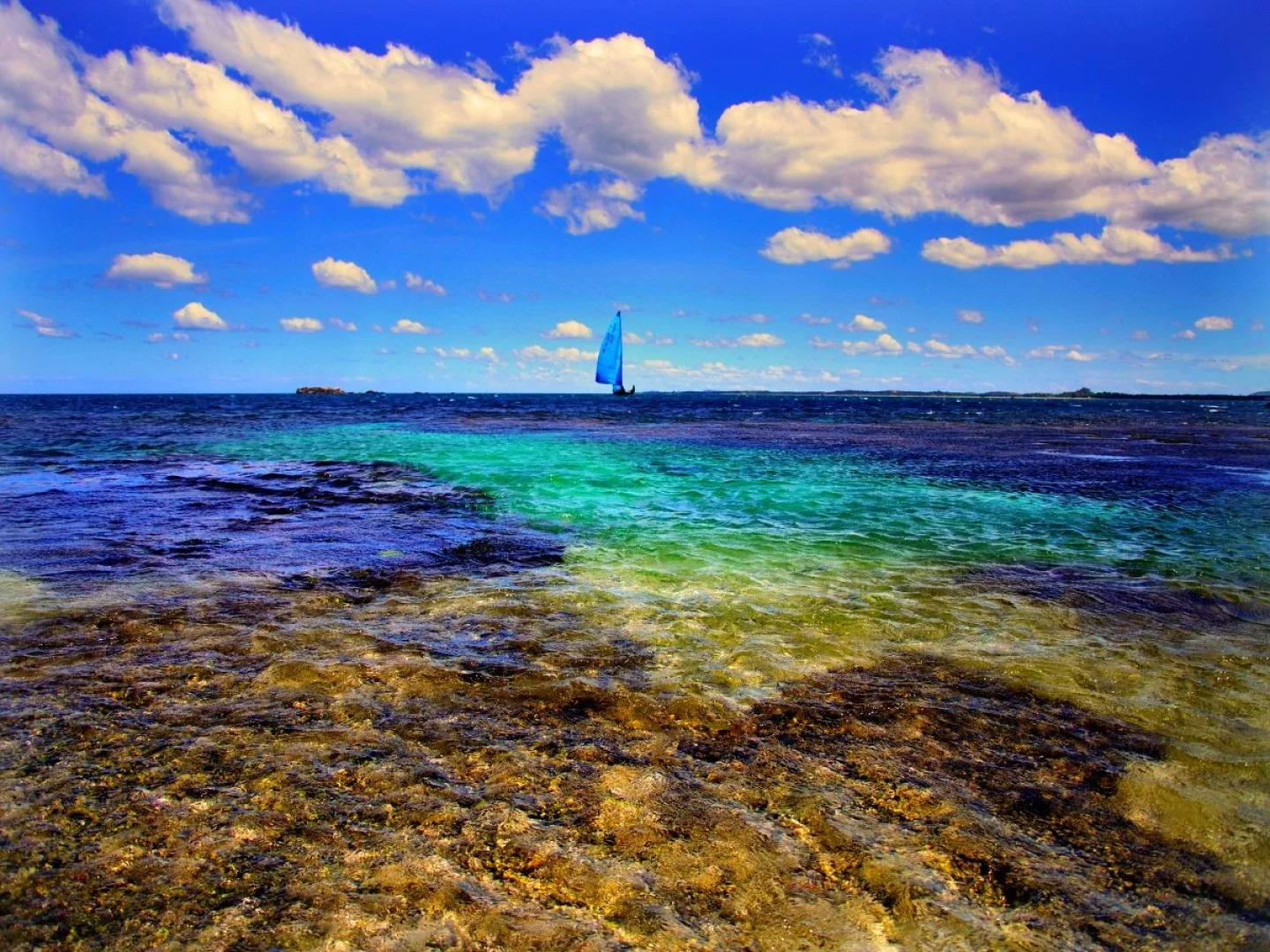 Trinco Blu by Cinnamon