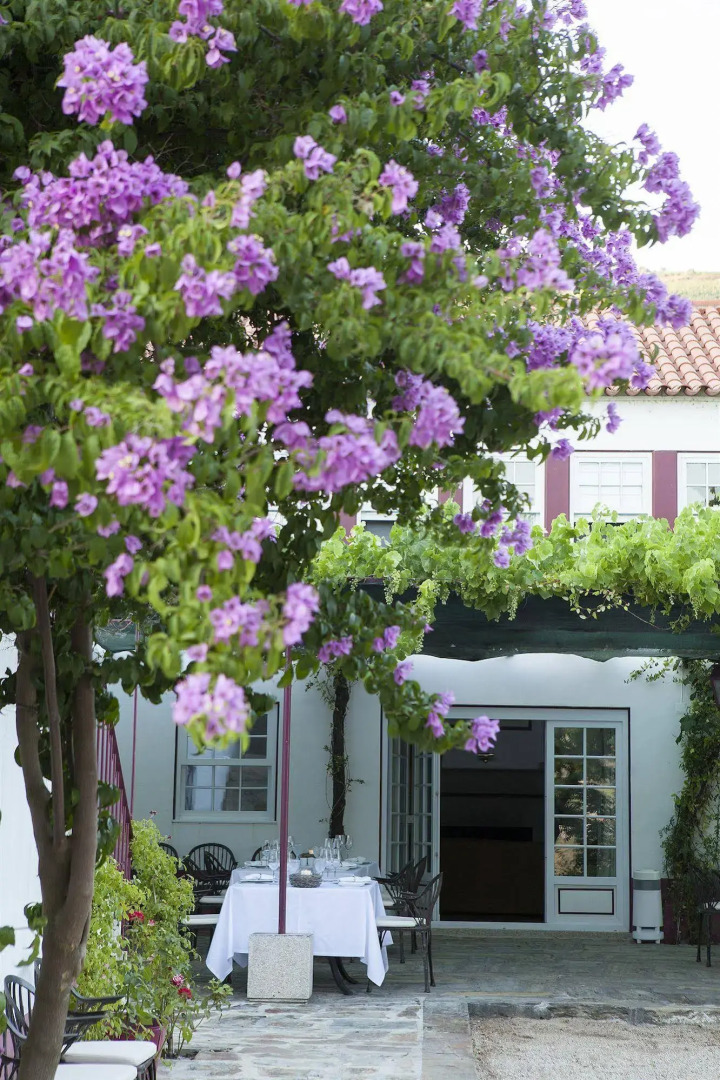 Quinta Nova Winery House - Relais & Châteaux