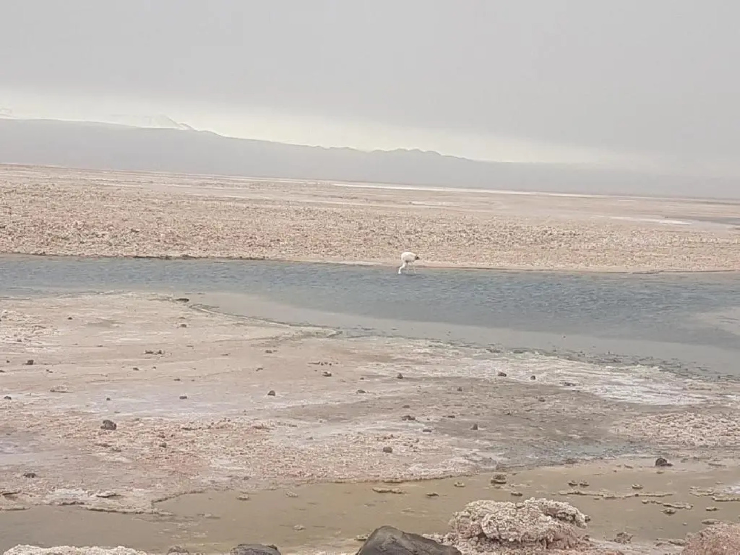 Hostal Nuevo Sol y Viento