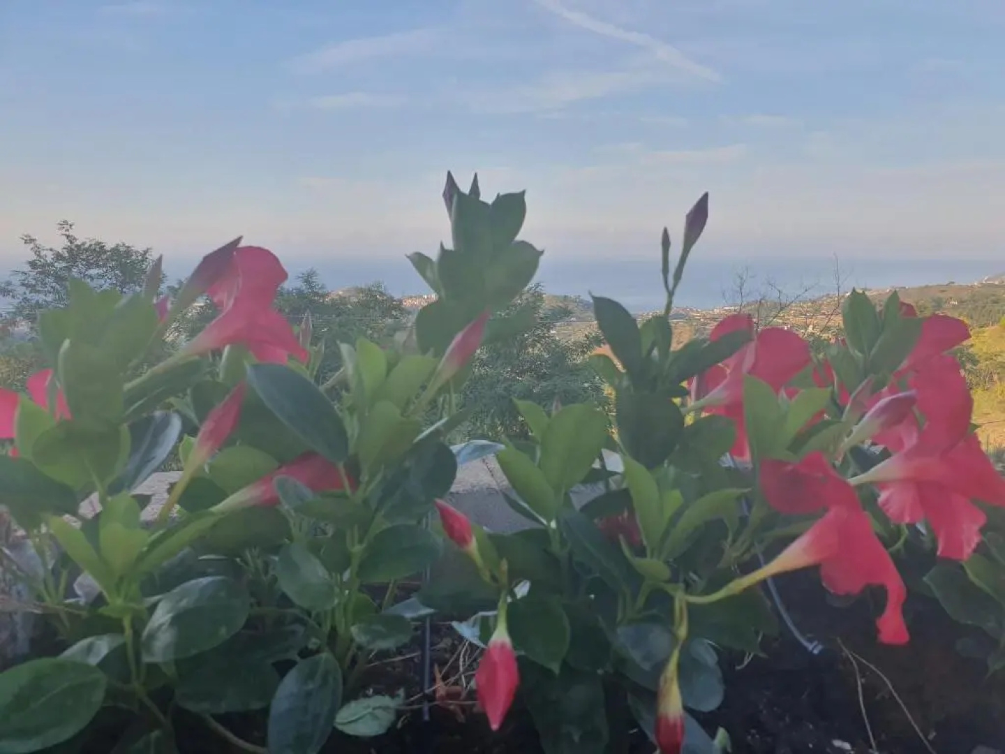 Agriturismo Santanna