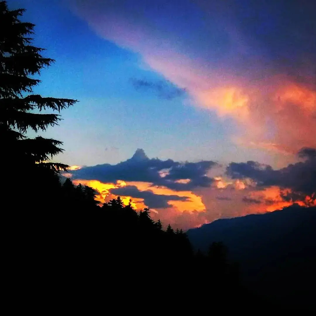 Soham's Chateau De Naggar
