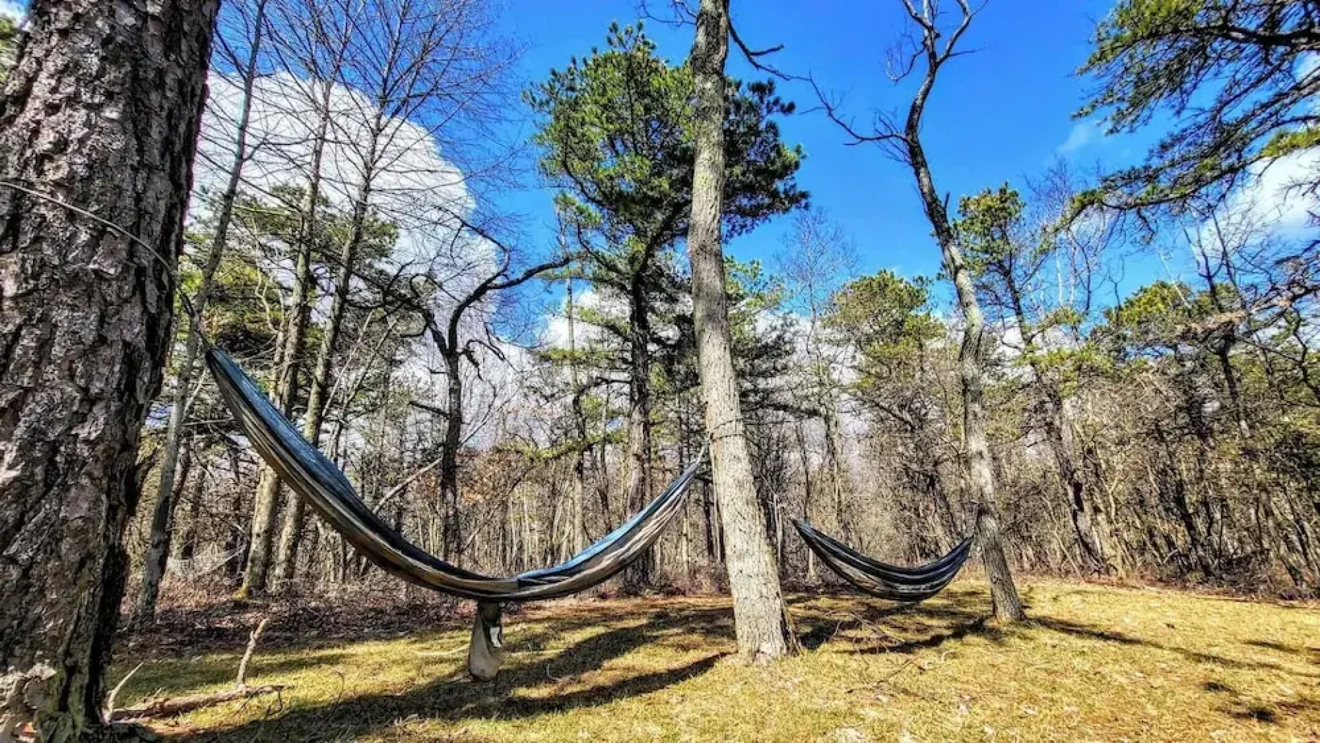 The Wooden Nest by Avantstay Deck, Big Yard w/ Hammocks & Fire Pit