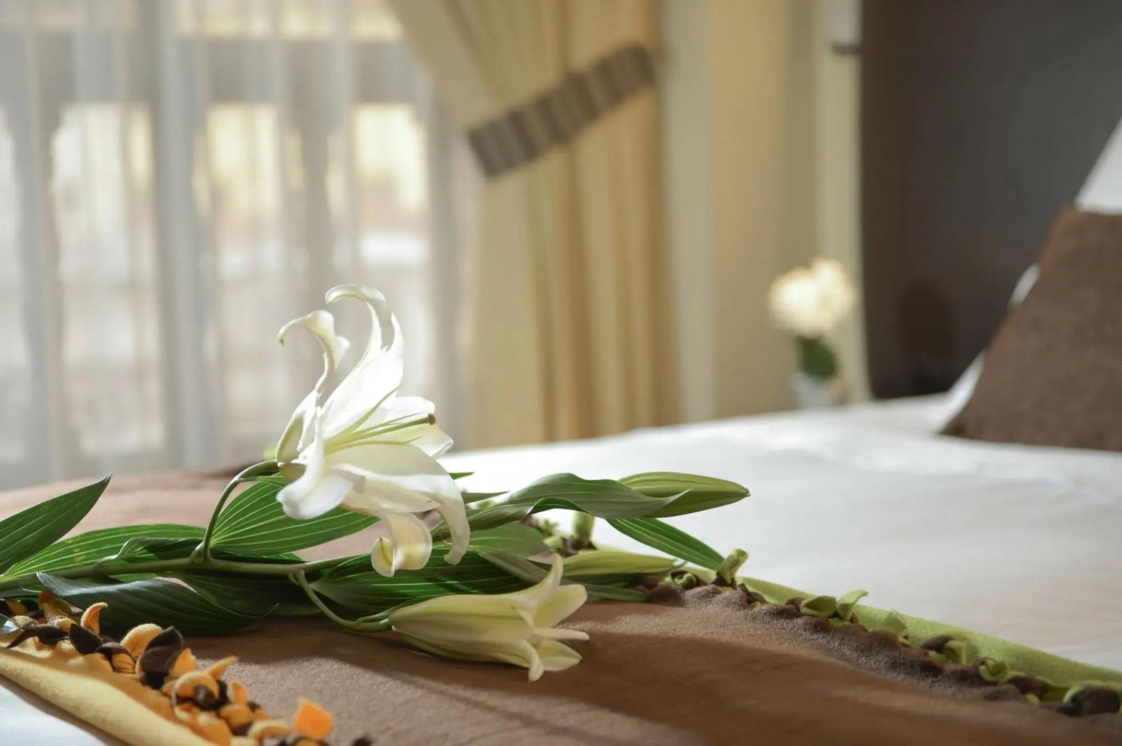 Tecte Guest House