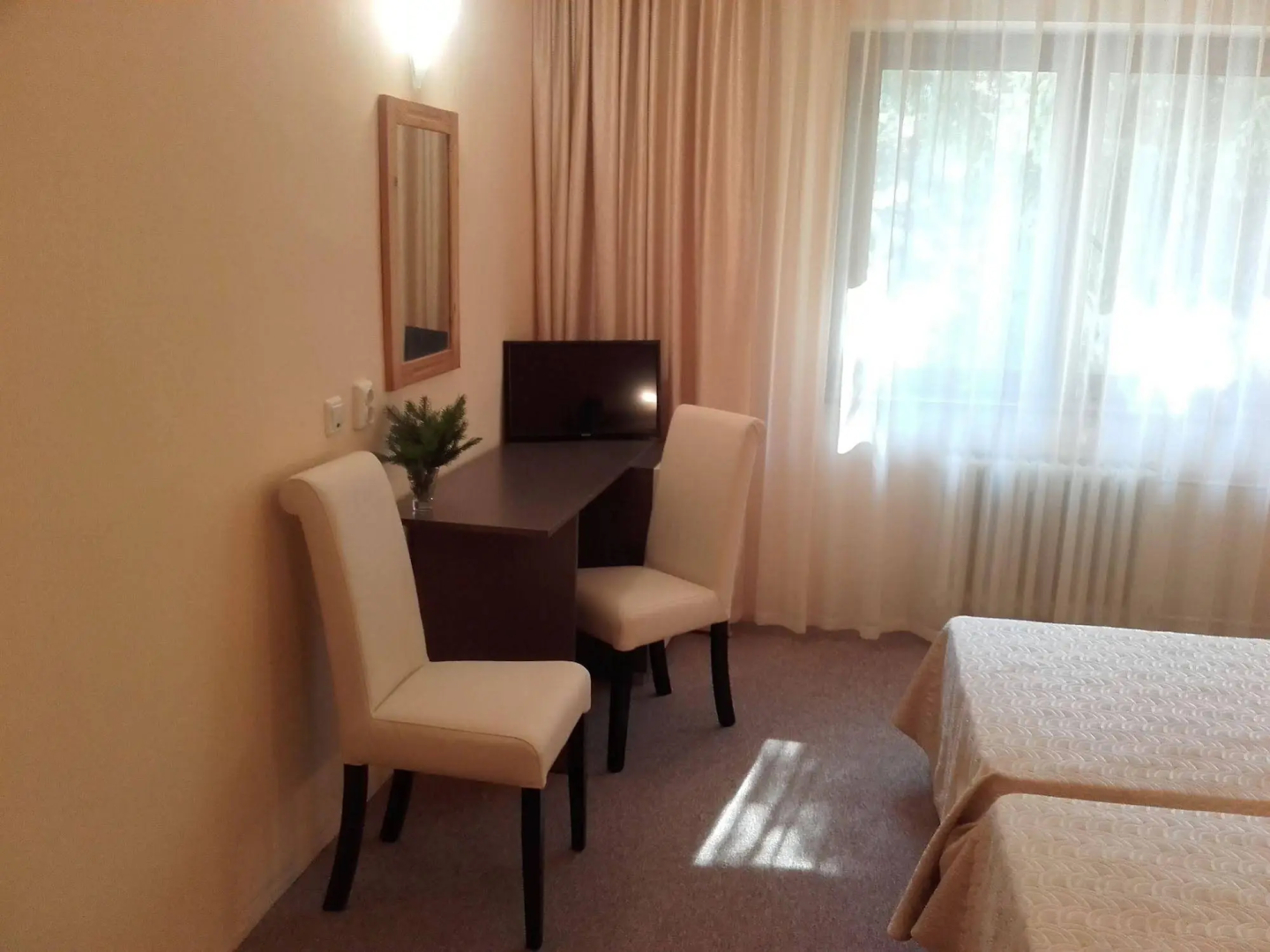 Hotel Bor
