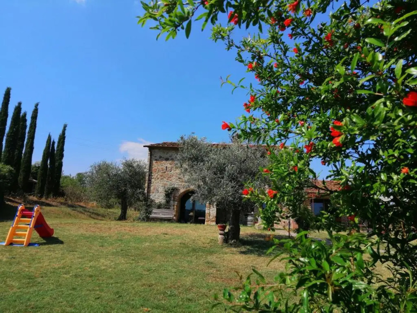 Casetta dell`Uliveto