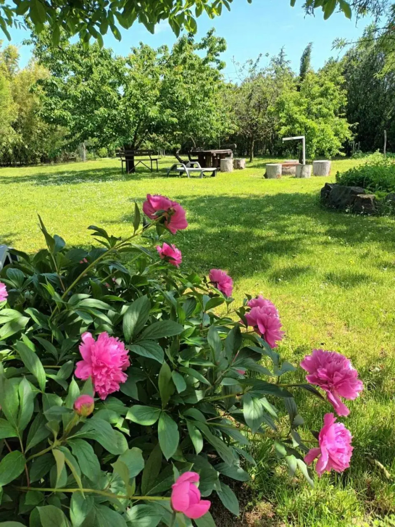 Tea Apartman Balatongyorok