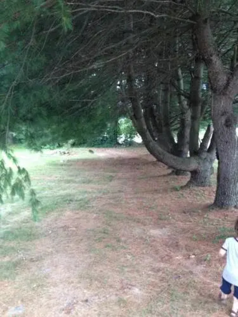 Sams Cottage on the Greens