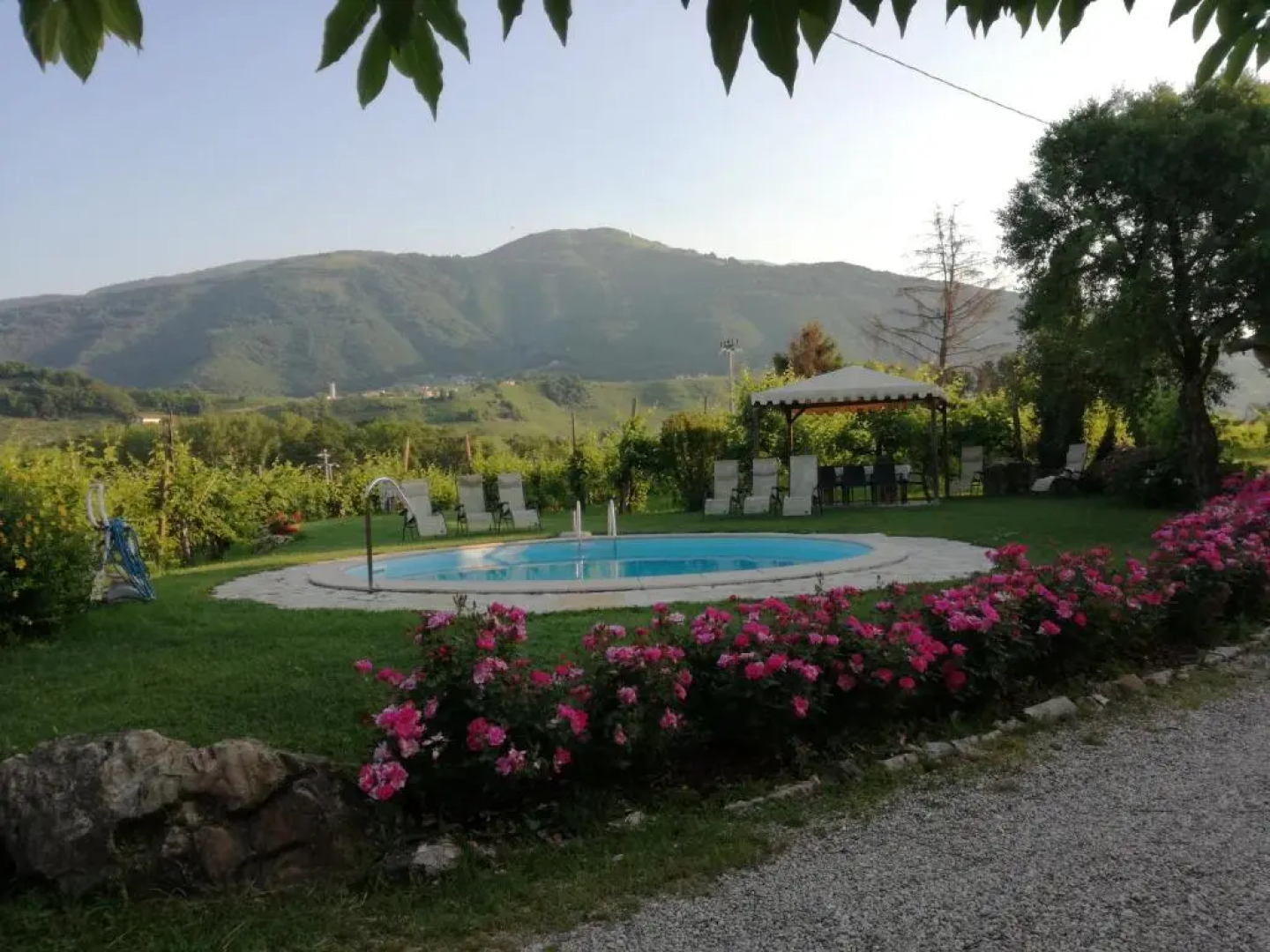 Azienda Agricola Campion