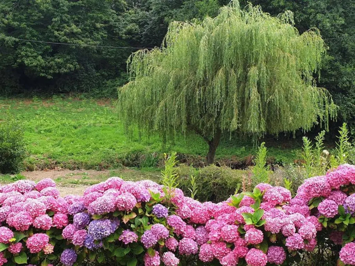 Maison Saint-Quay-Perros, 4 pièces, 6 personnes - FR-1-368-258