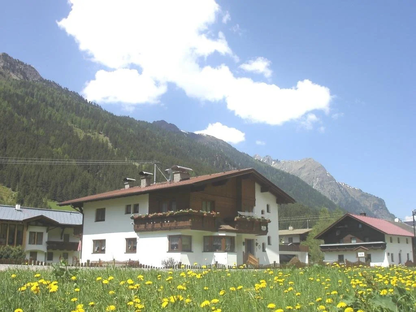 Birkenheim
