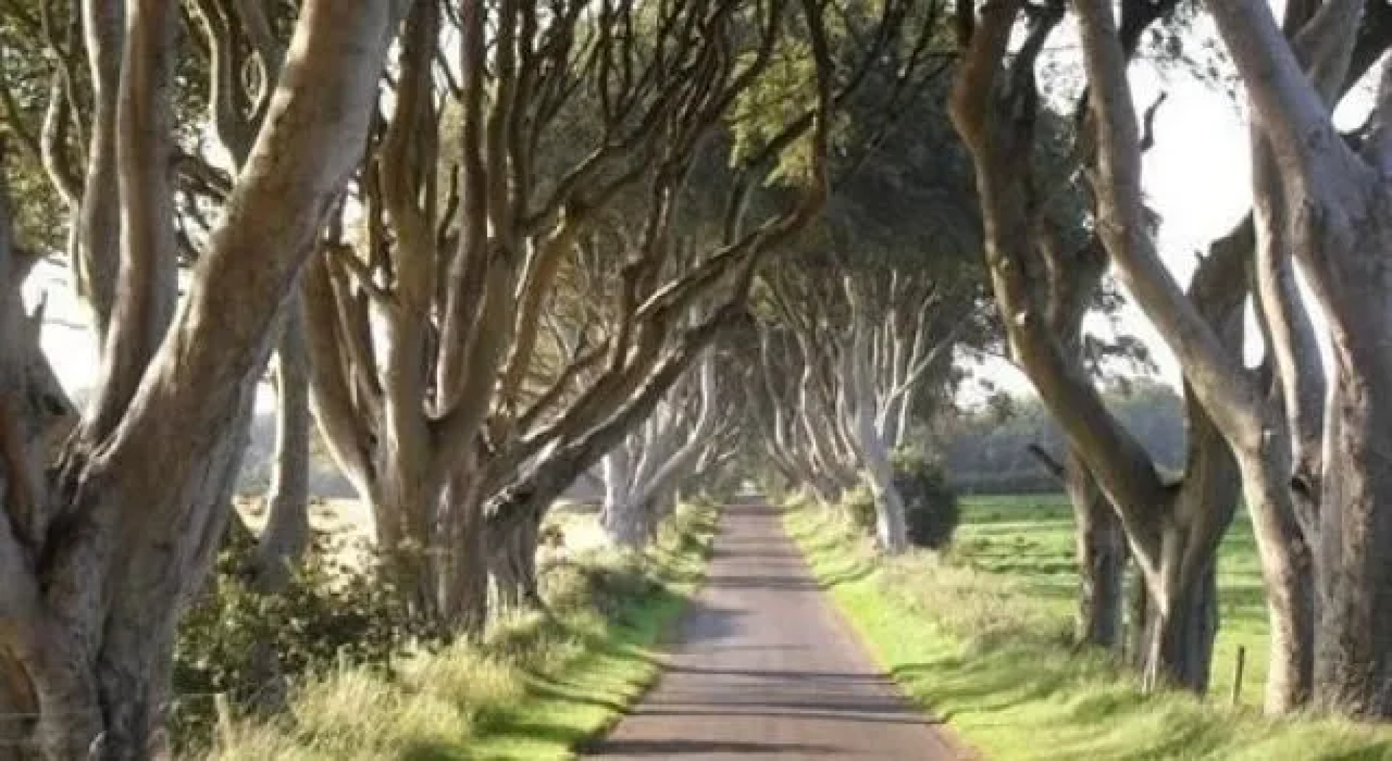 Burn Brig Bed & Breakfast