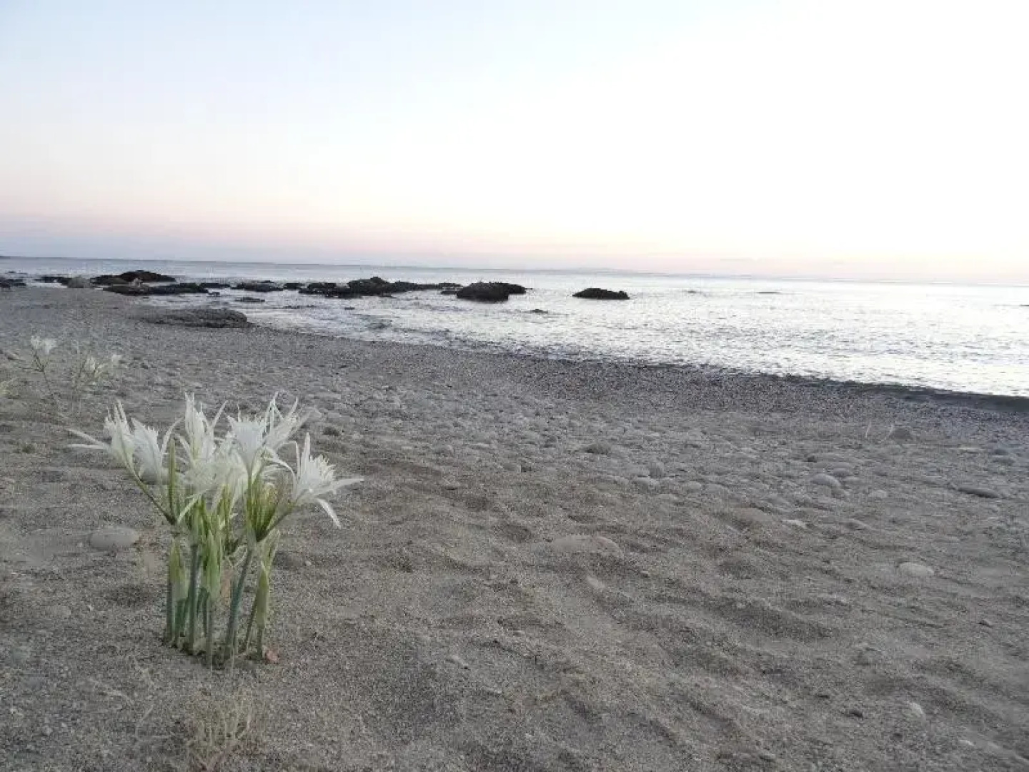 Thalassa House Apartments