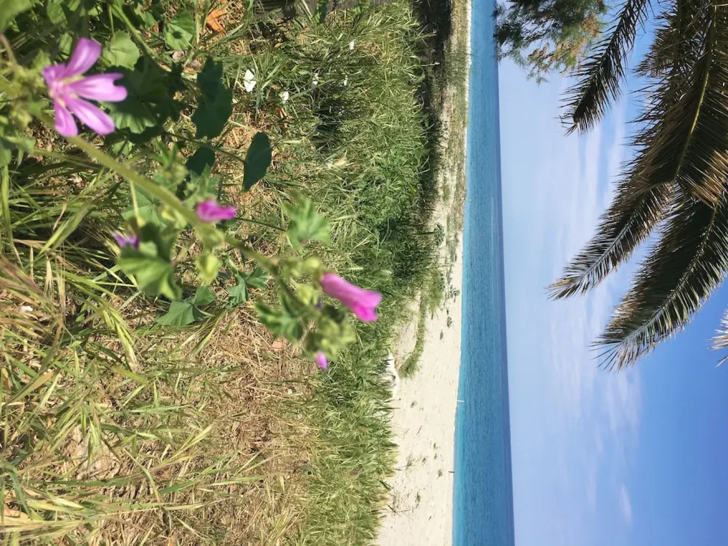 Agios Ioannis Luxurious Beachfront Apt