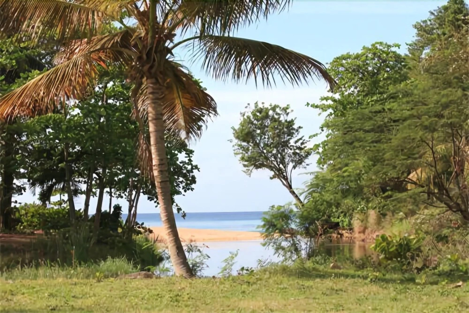 Oasis de Grande Anse