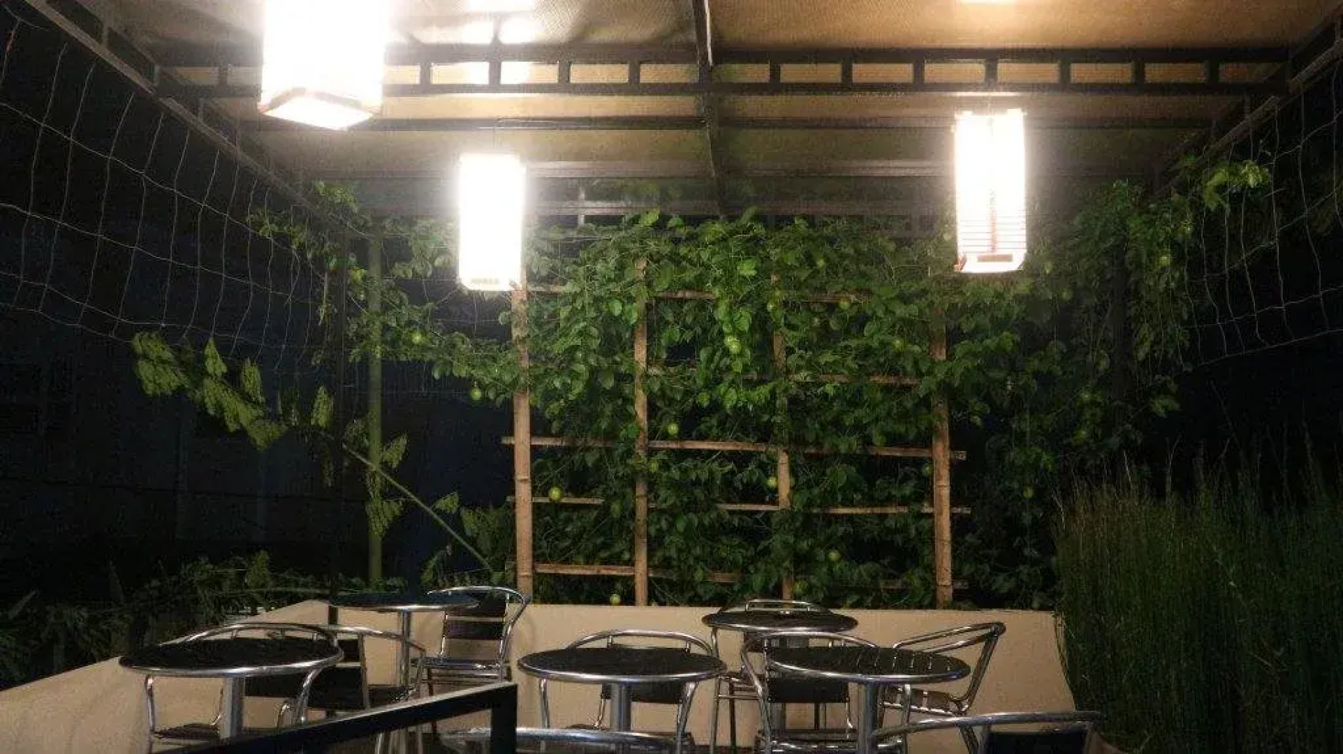 Mitra Guest House