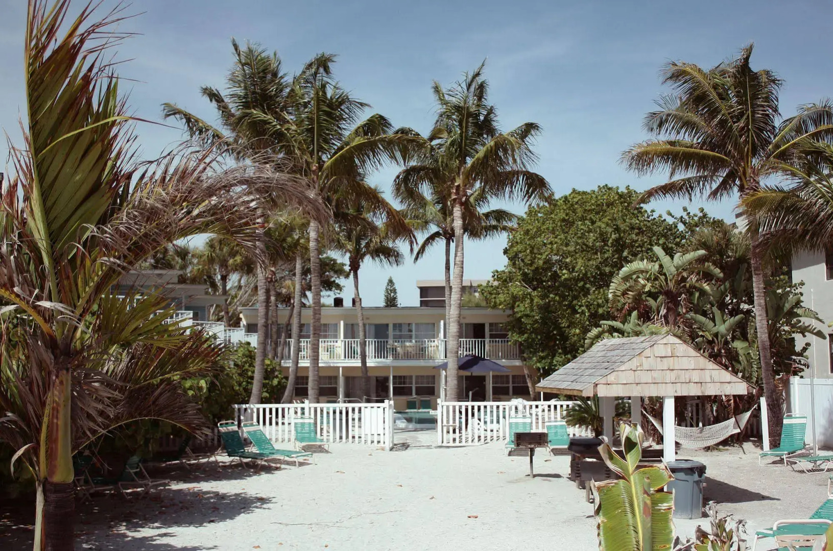 Coquina On The Beach