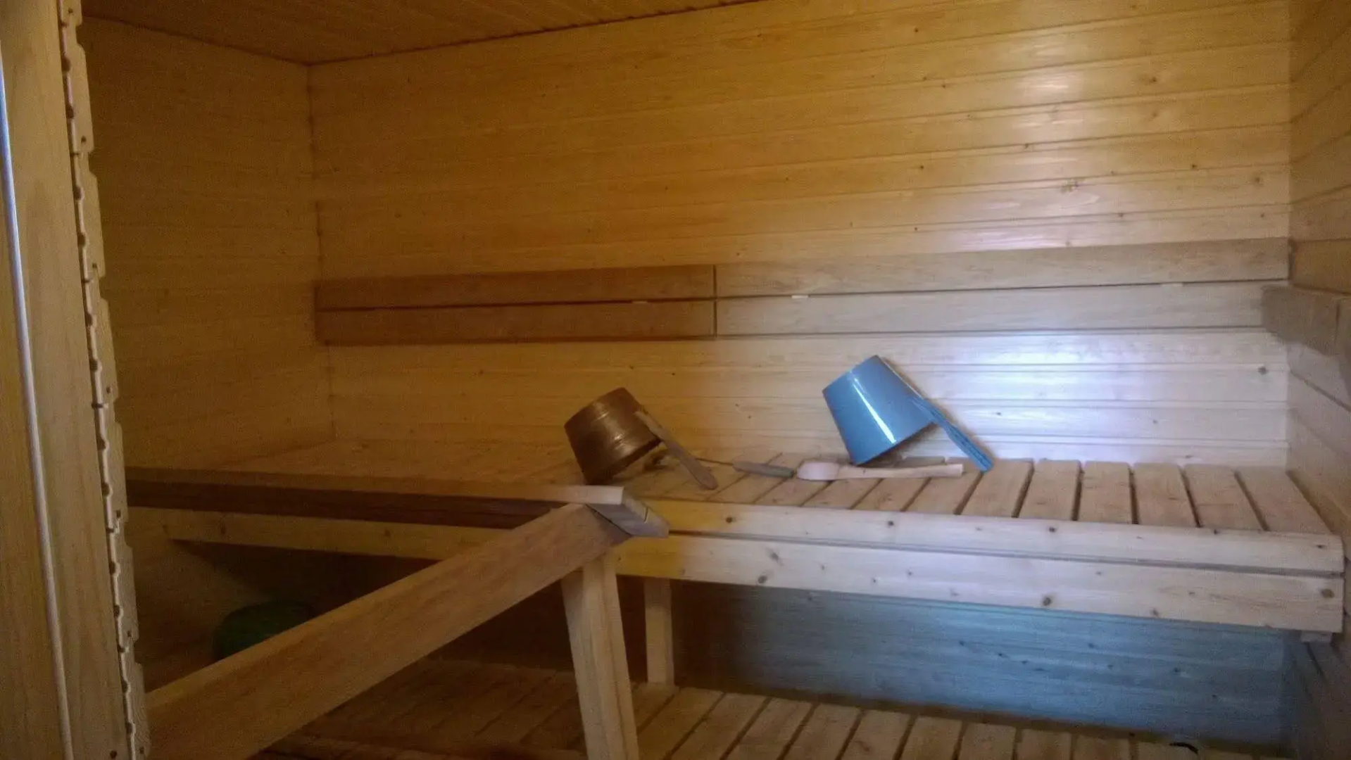 Koivukankare