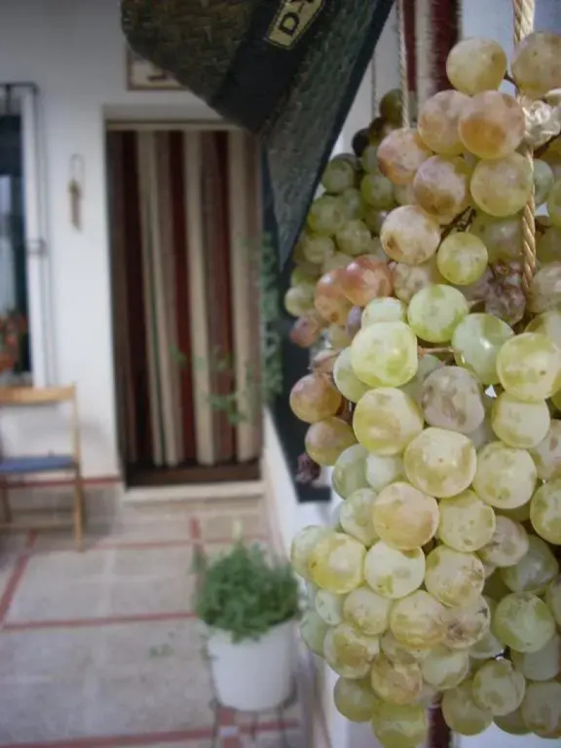 Casa Rural Morada Maragata