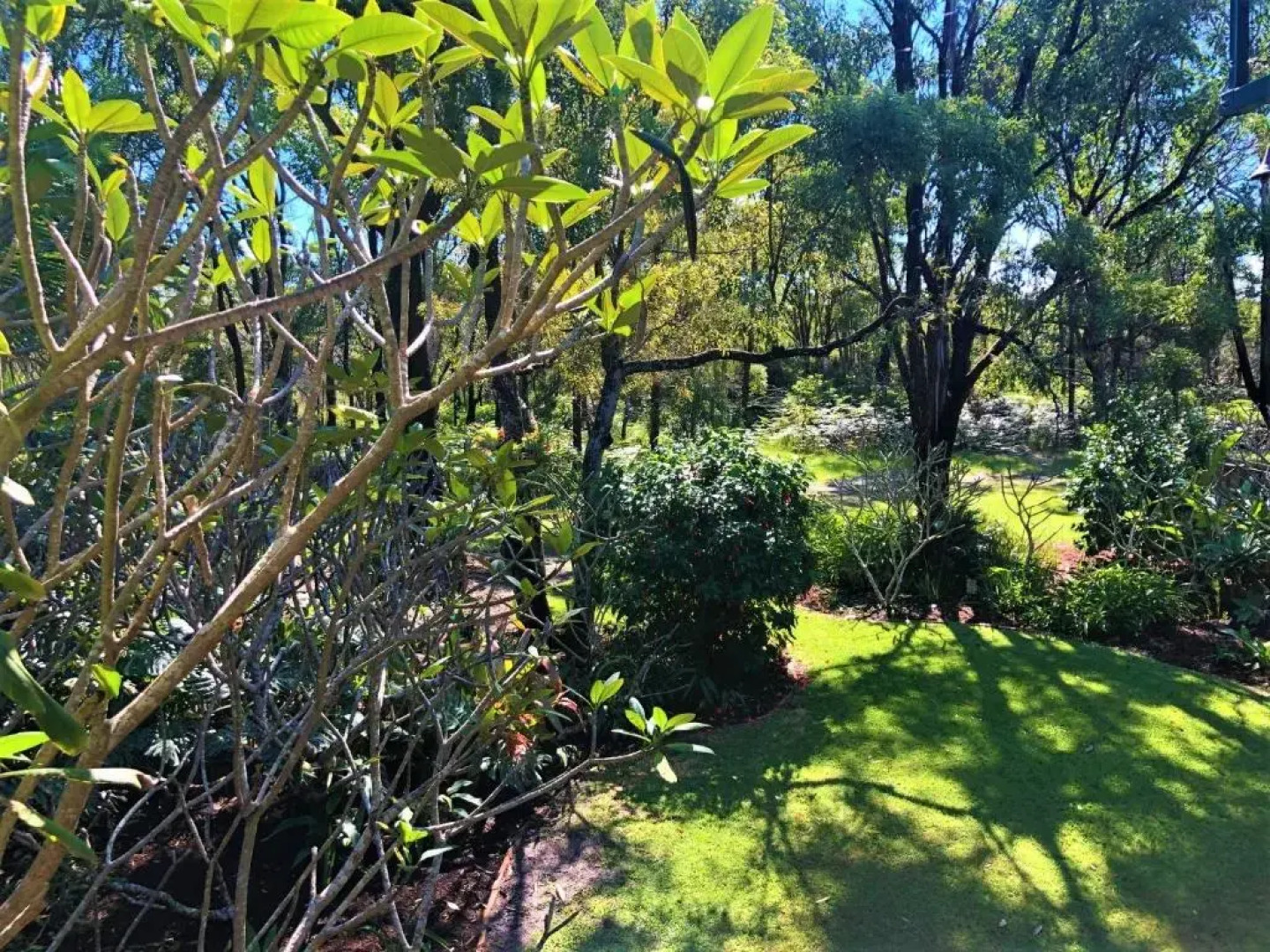 Hideaway Cabarita Beach