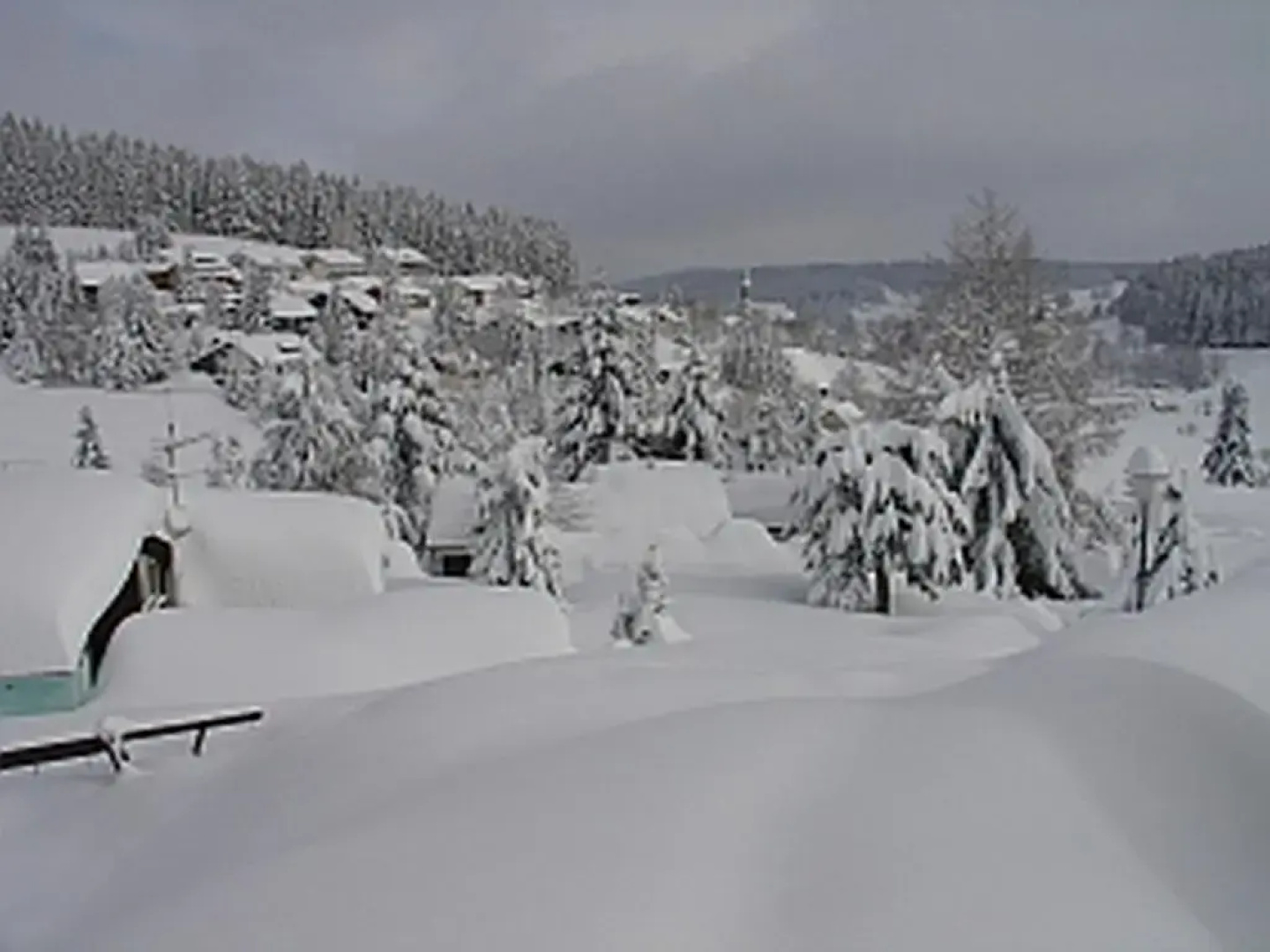 Ferienwohnungen Hochschwarzwald