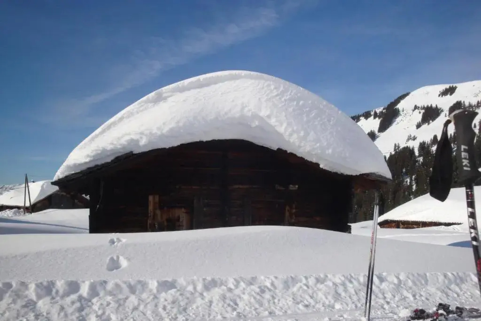 Ferienwohnung & Studio Schaad