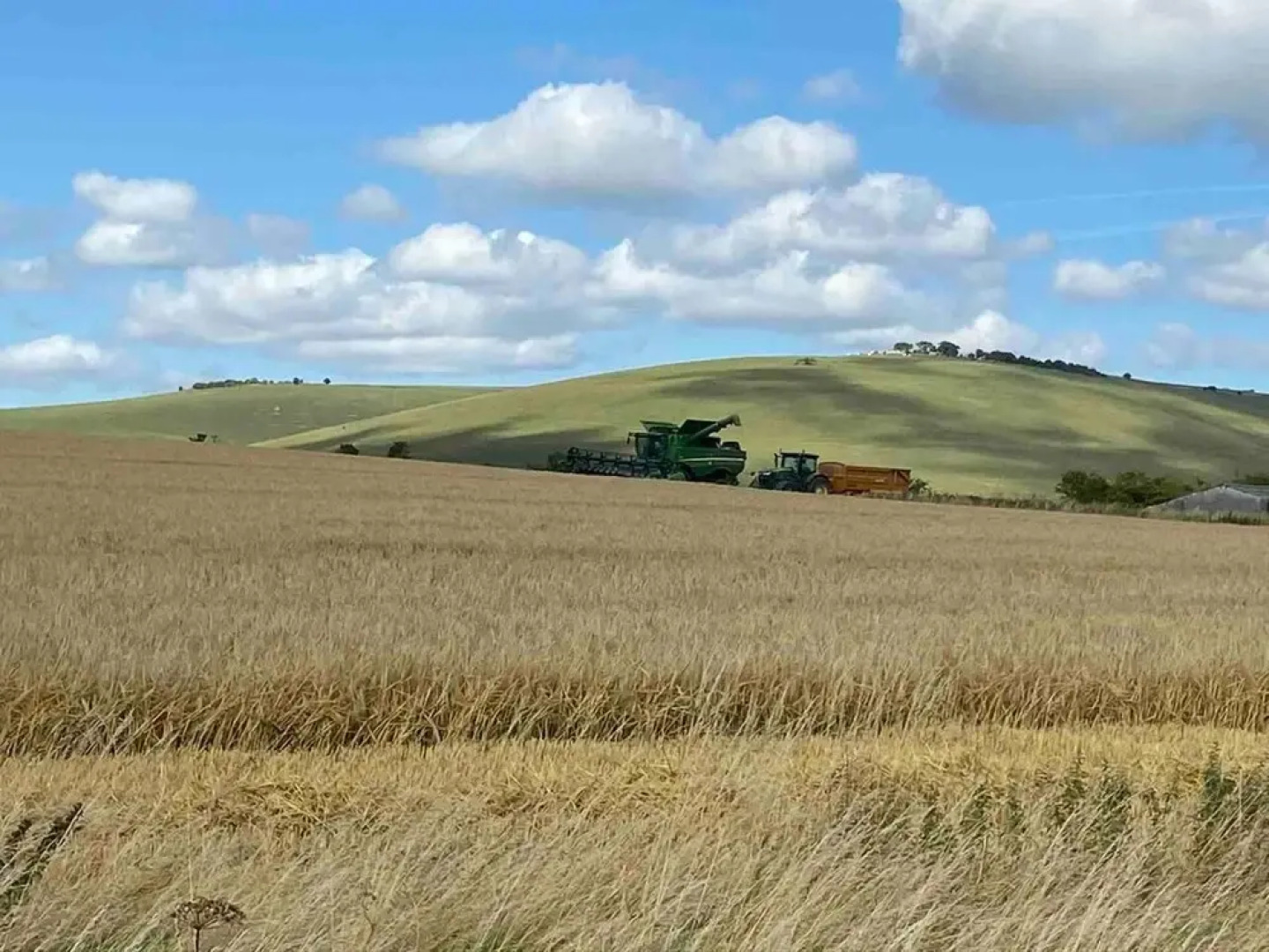 Cosy Rural Retreat, Sleeps 3 & Petfriendly