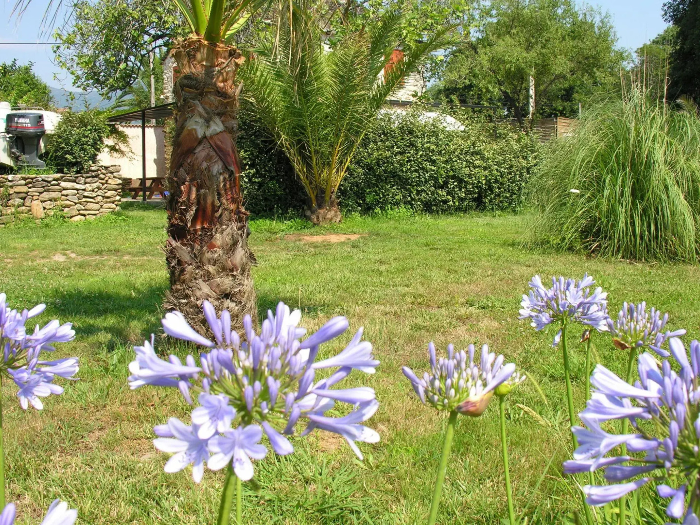 Cozy Holiday Home in Moriani-Plage in Swimming Pool