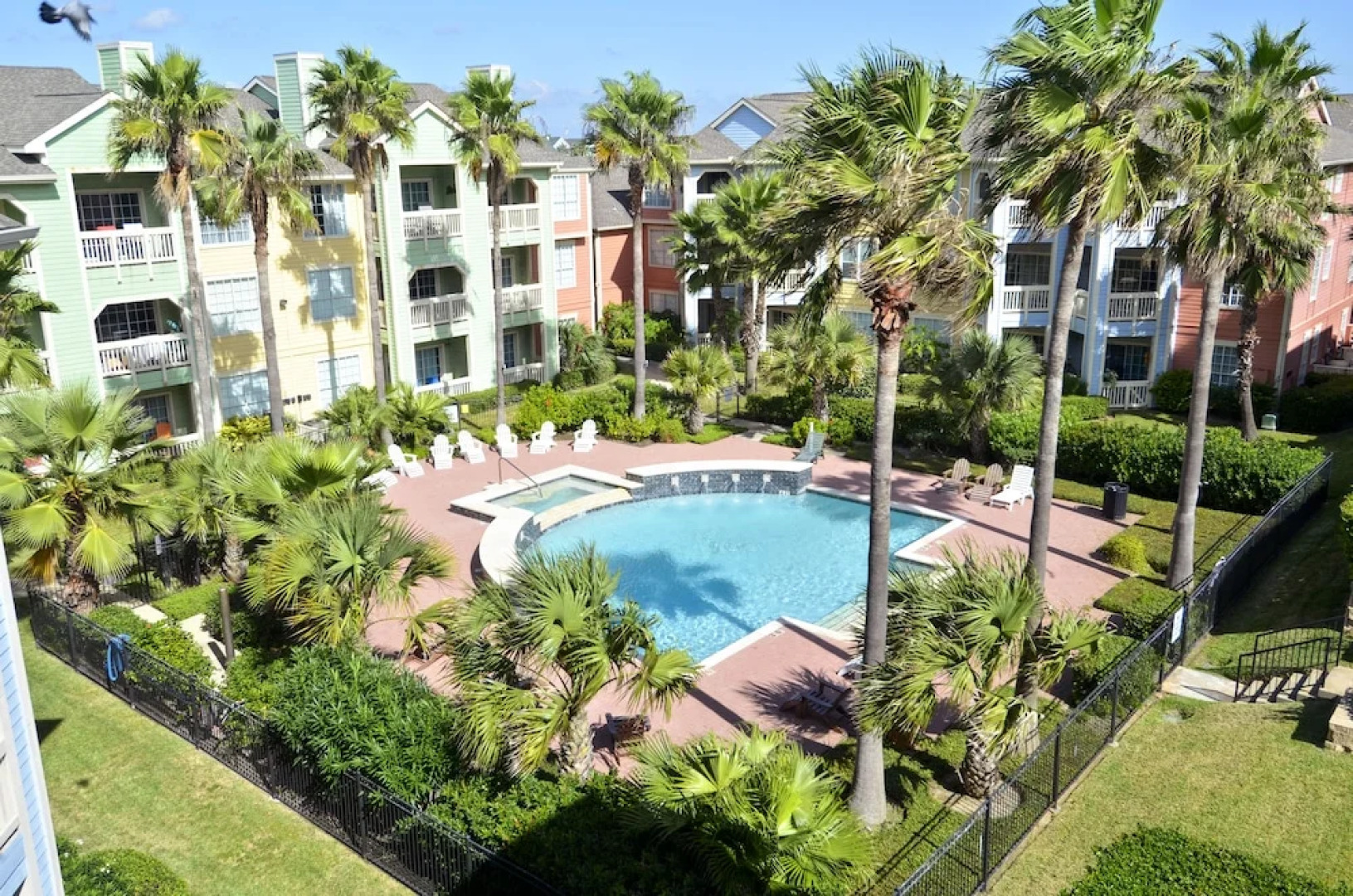 The Regal Seagull by RedAwning