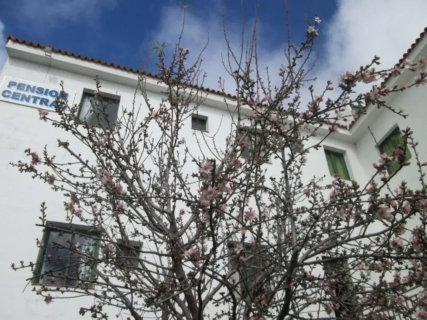 La Palma Hostel - Pensión Central