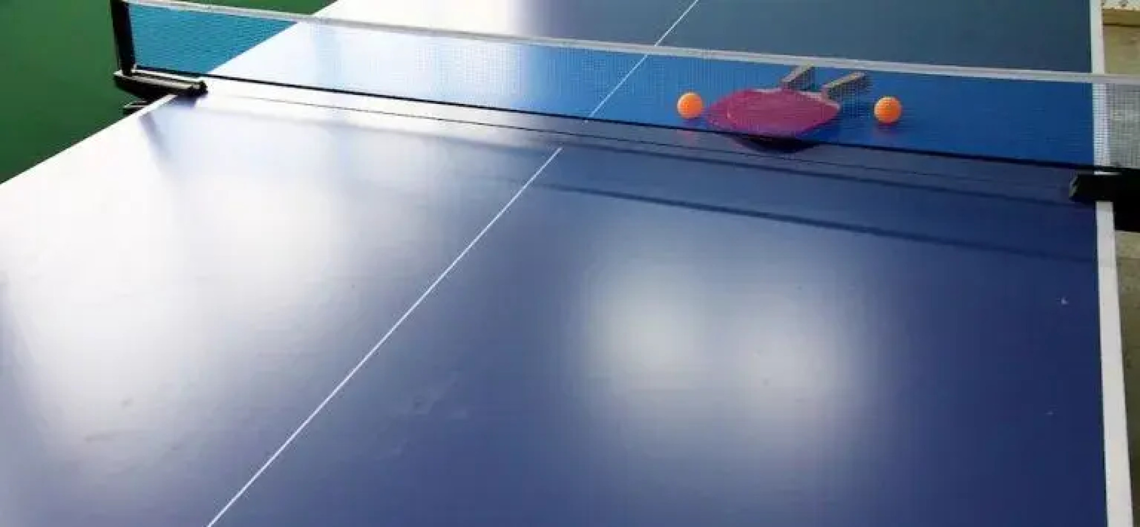 Afternoon of the Forest Pension