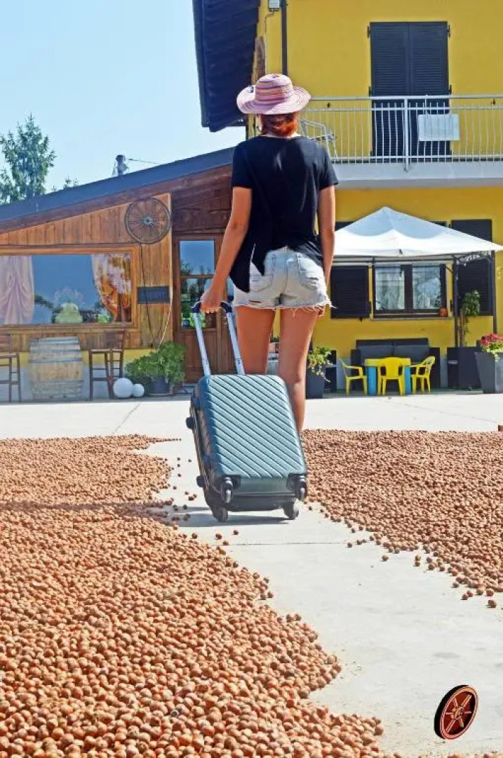 Agriturismo La Ruota