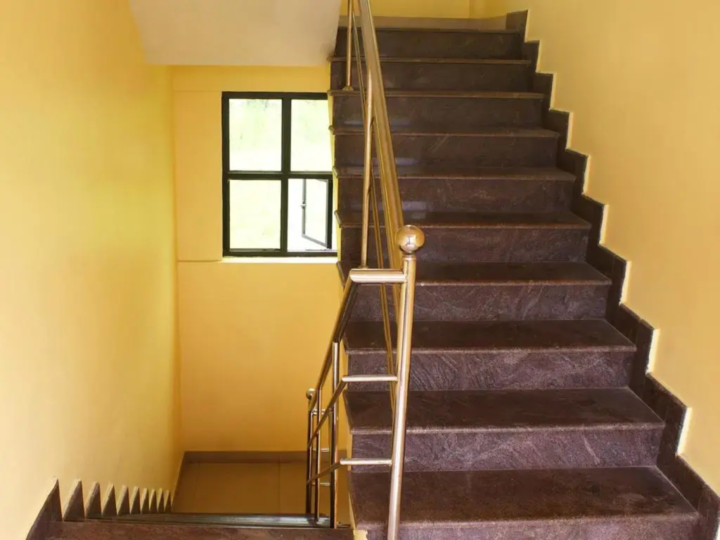 OYO 6665 Thomson Regency