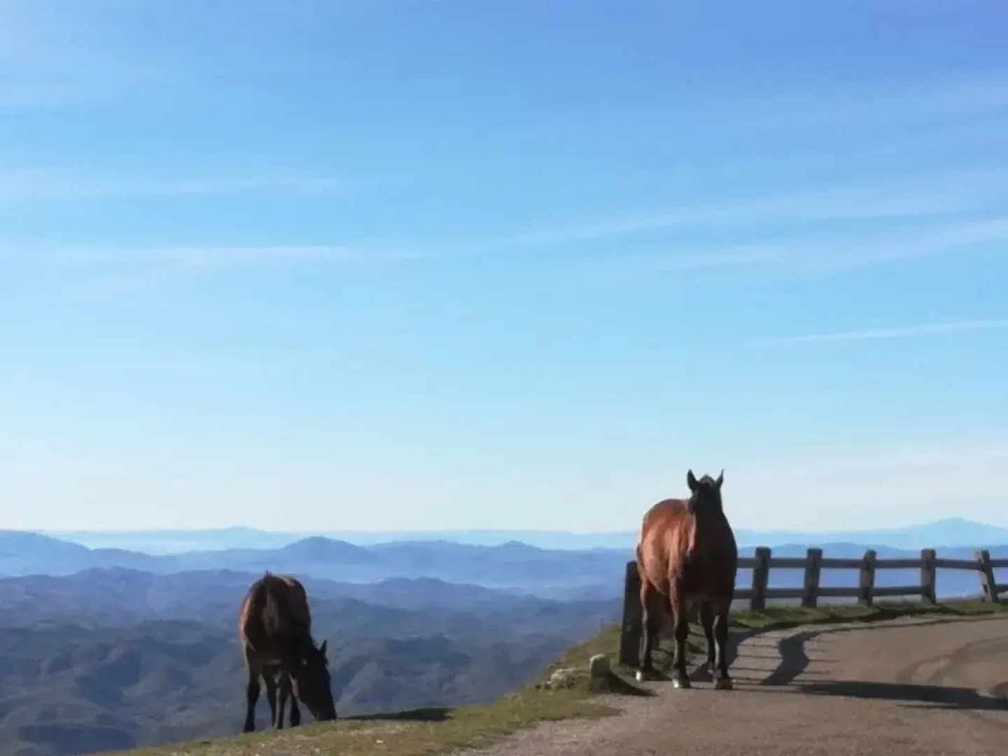 Ferienhaus Ca Piero mit Pool 17 bis 20 Personen