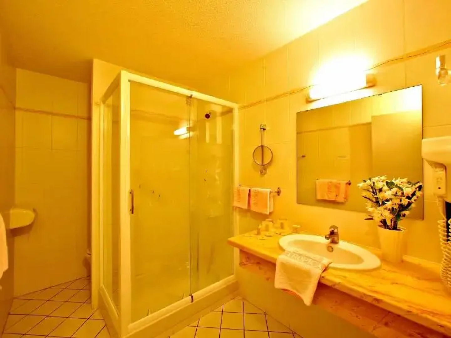 Logis Hôtel le Tropicana