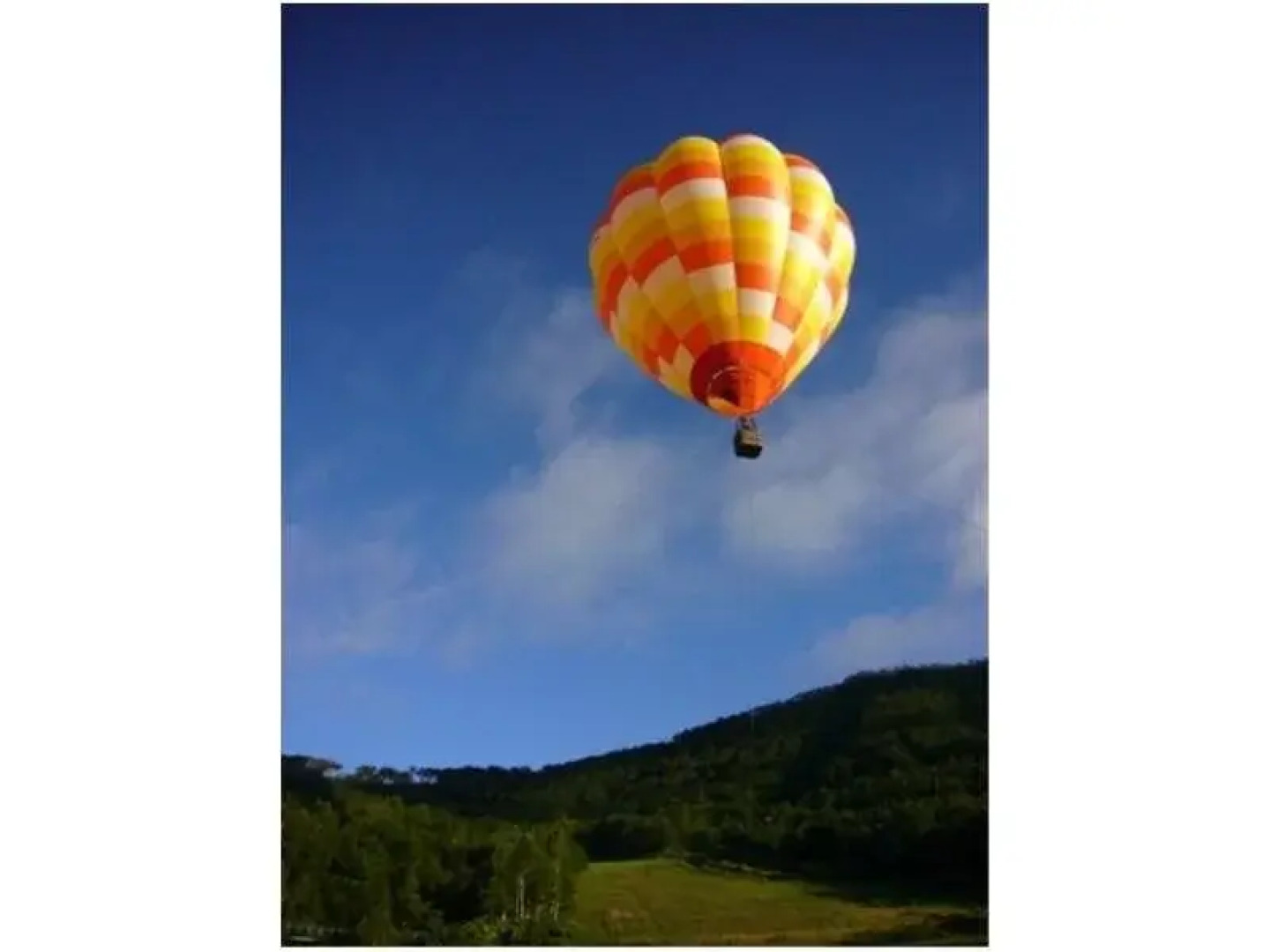 Rusutsu Pension Clydesdale