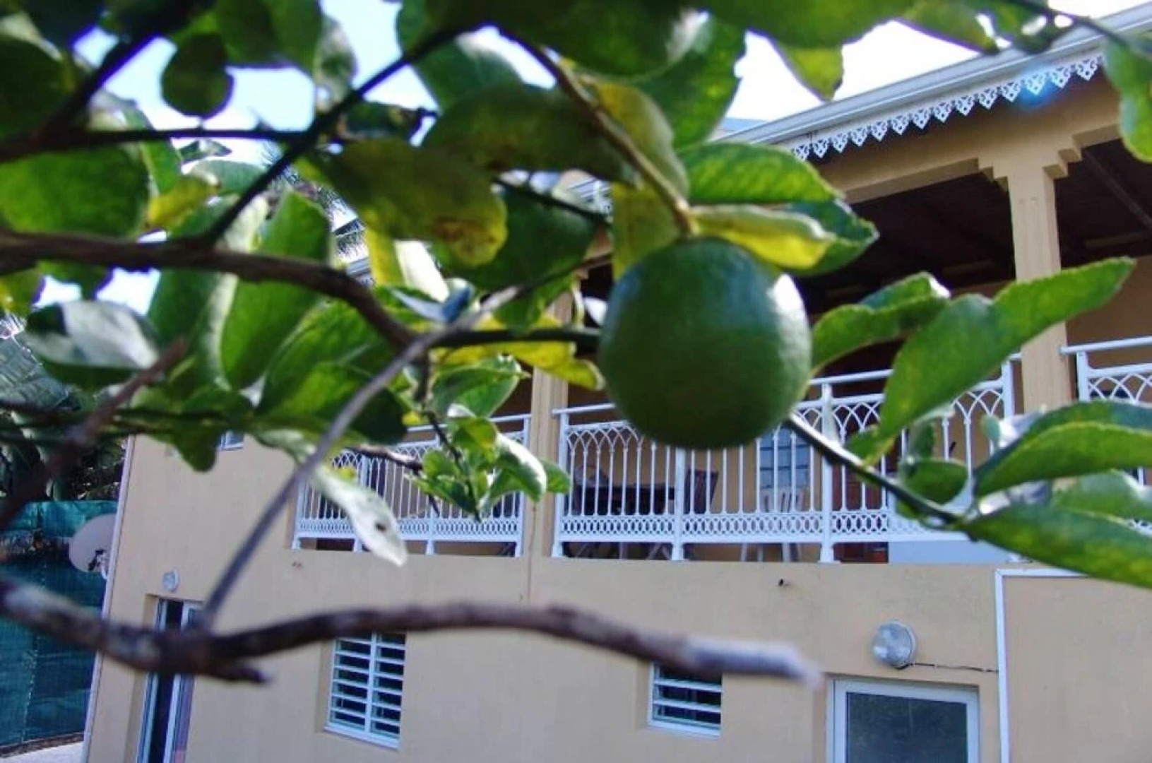 Apartment With one Bedroom in Goyave, With Wonderful Mountain View, Enclosed Garden and Wifi - 2 km From the Beach