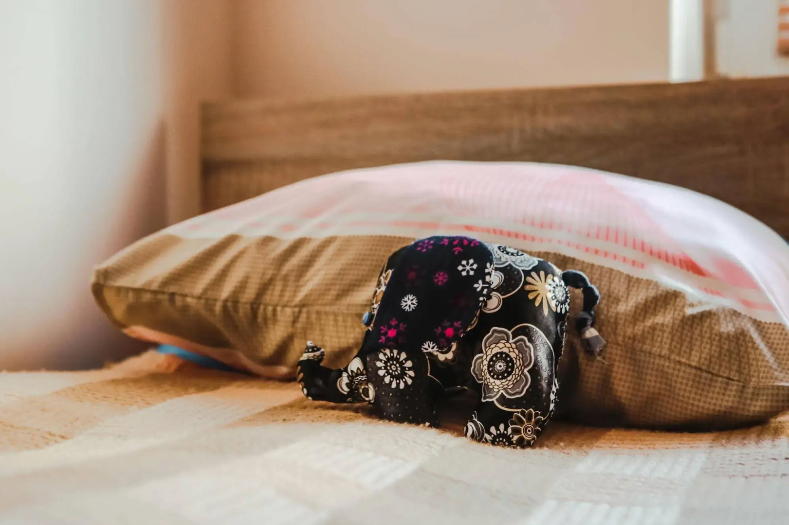 Vilnius Home Bed and Breakfast